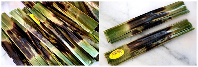 【馬來西亞。麻坡】 K&Y Otak-Otak Product 俊隆烏達 – 馬來西亞特色小吃「烏達」好美味，現包現烤超新鮮，微辣的口感讓人一口接一口完全停不下來！