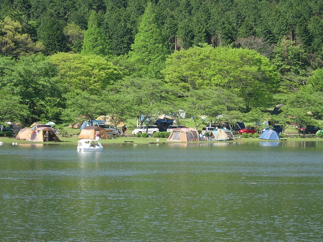 【日本】大分  精選4間 超美懶人露營區｜就住在森林裡，睡在花與星空下，免裝備超豪華 森林露營區懶人包。