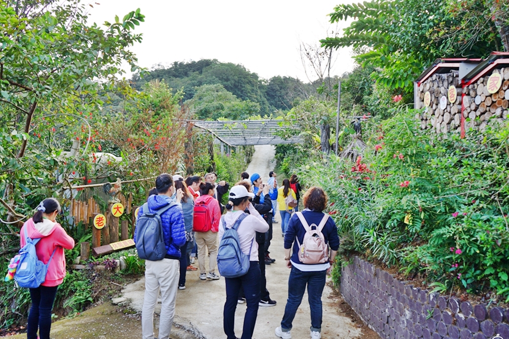 【新竹】 尖石、橫山 精選5家隱藏版特色景點｜山林秘境  古道健行還有超好拍森林小學堂 一日遊。