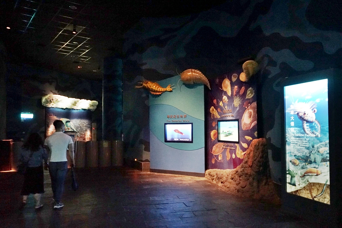 【屏東】 國立海洋生物博物館｜三大場館必看重點總整理懶人包，還有直擊海生館心臟 隱藏版後場海角秘境大公開。