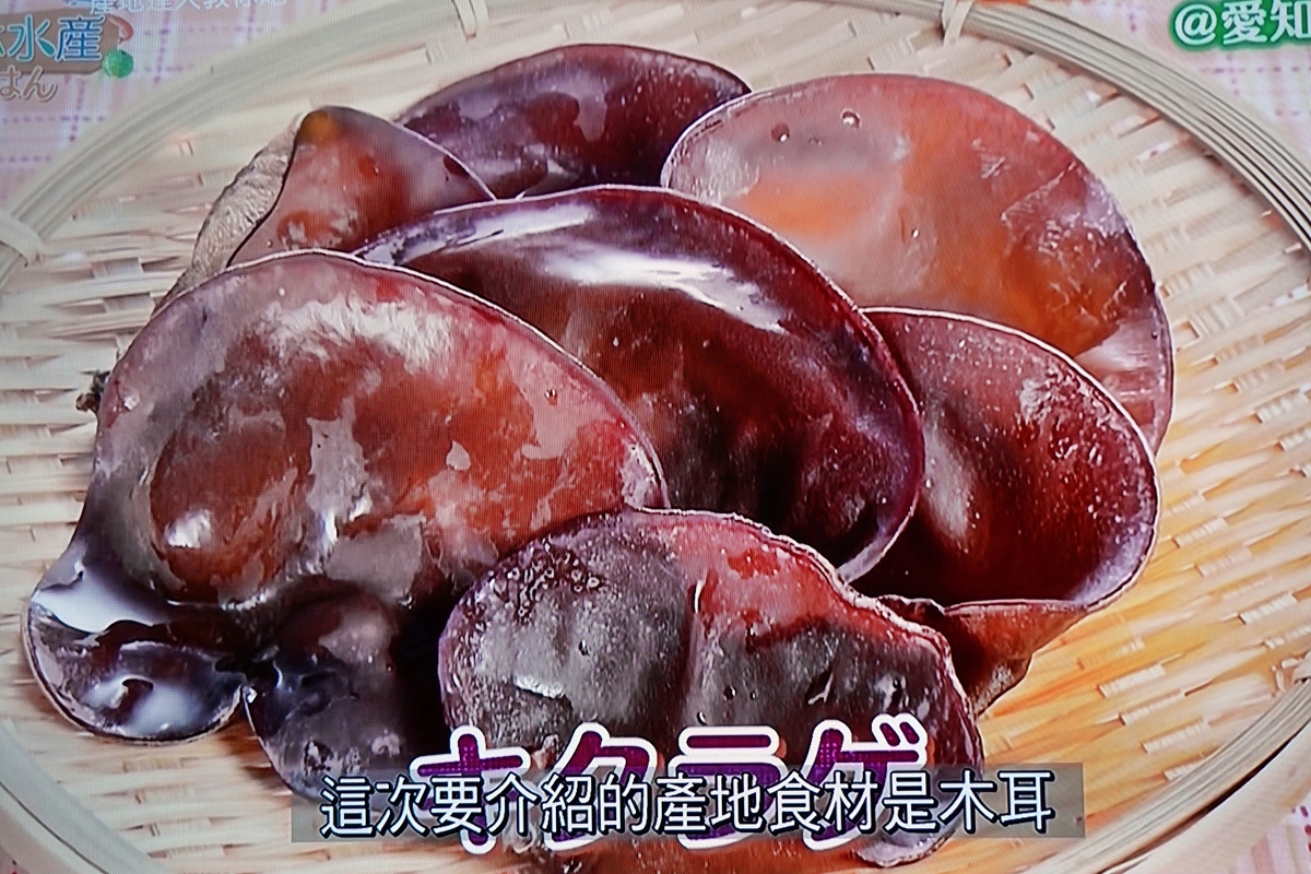【日本】WAKUWAKU JAPAN頻道首播 產地達人教你吃愛知縣｜看電視長知識 精選愛知10大市的限定食材美味必吃。