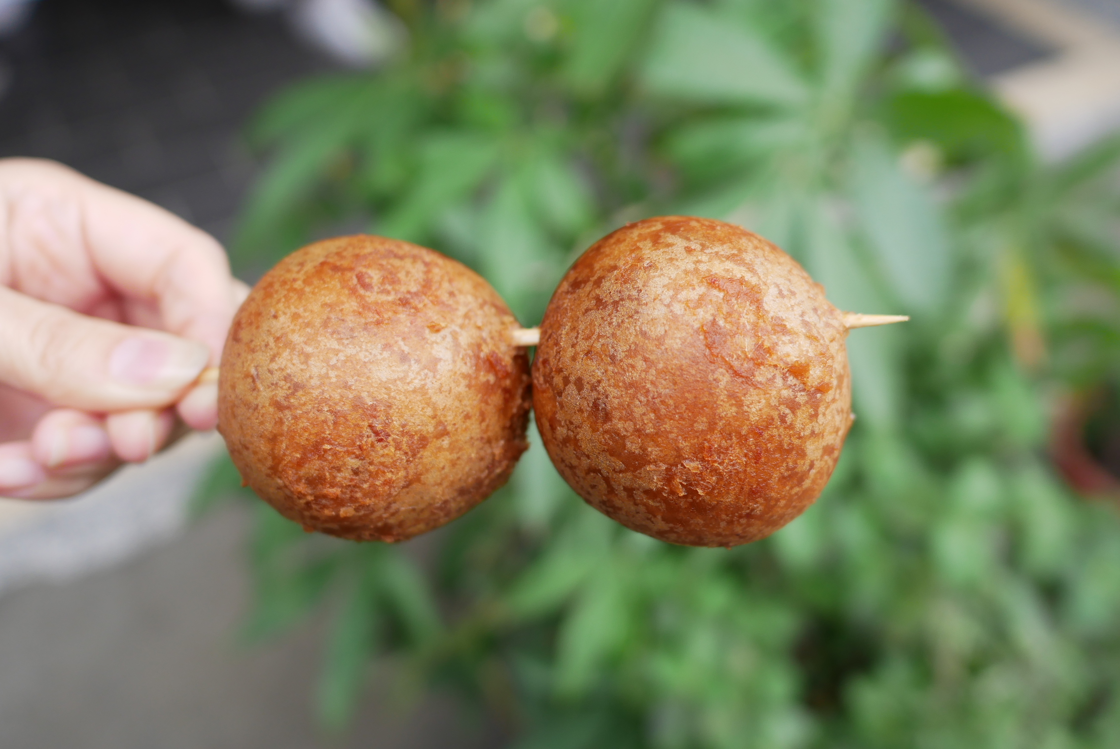 【新竹】 林家芋泥球｜城隍廟旁必吃，現包現炸 孩子拳頭般大小 加了蜂蜜的超巨雙層芋泥球。
