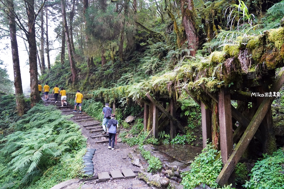 【宜蘭】 見晴懷古步道｜全球最美登山小徑之一，平路緩坡 雲霧繚繞的多霧森林，絕美森林鐵道遺跡。