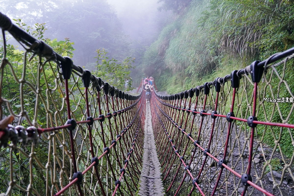 【宜蘭】 見晴懷古步道｜全球最美登山小徑之一，千年神木，多霧森林，還有吊橋以及鐵路遺跡。