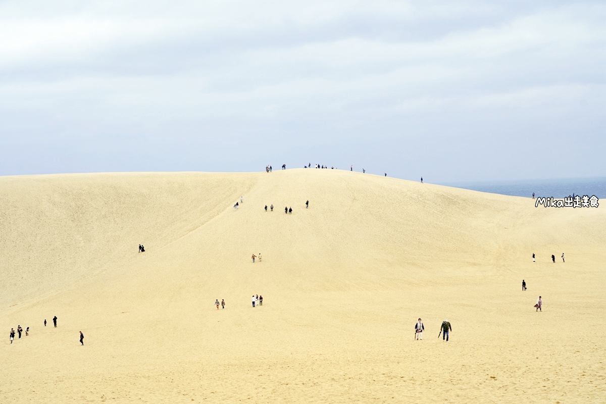 【日本】 山陰 鳥取沙丘｜海岸邊 綿延 2 公里 日本最大規模的沙丘，還有乘駱駝體驗，好有沙漠風情。
