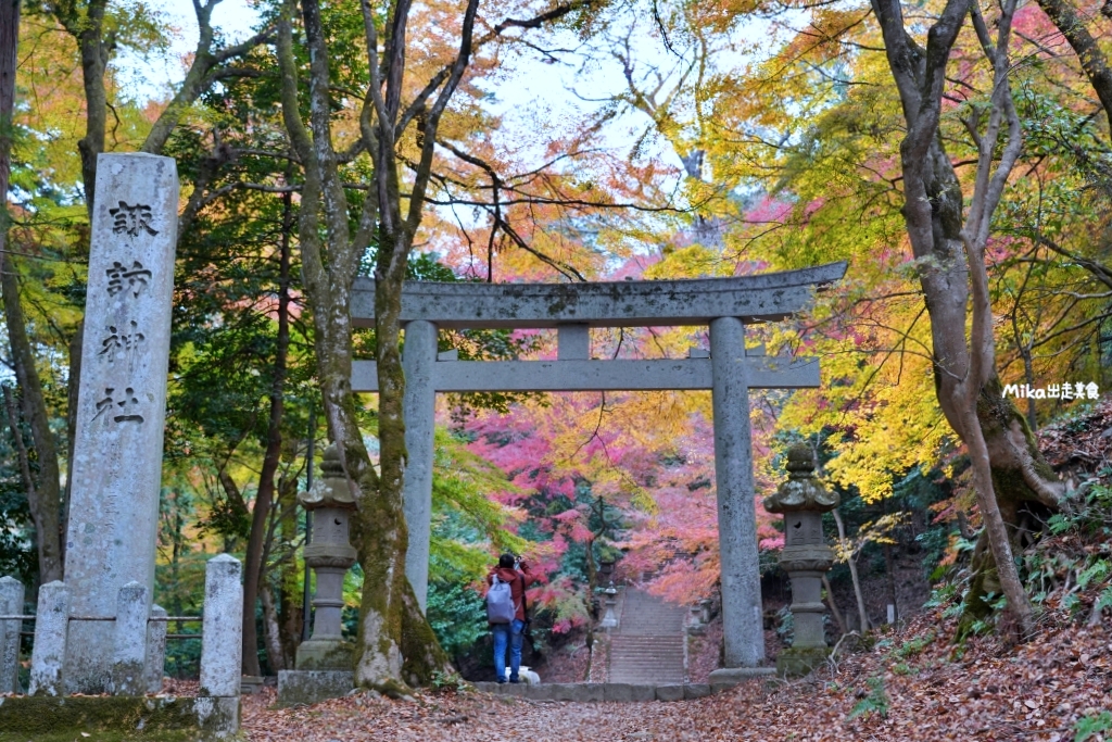 【日本】 鳥取 智頭町 諏訪神社｜鳥取 隱藏版紅葉名勝之一 山中森林內的絕美秘境神社。