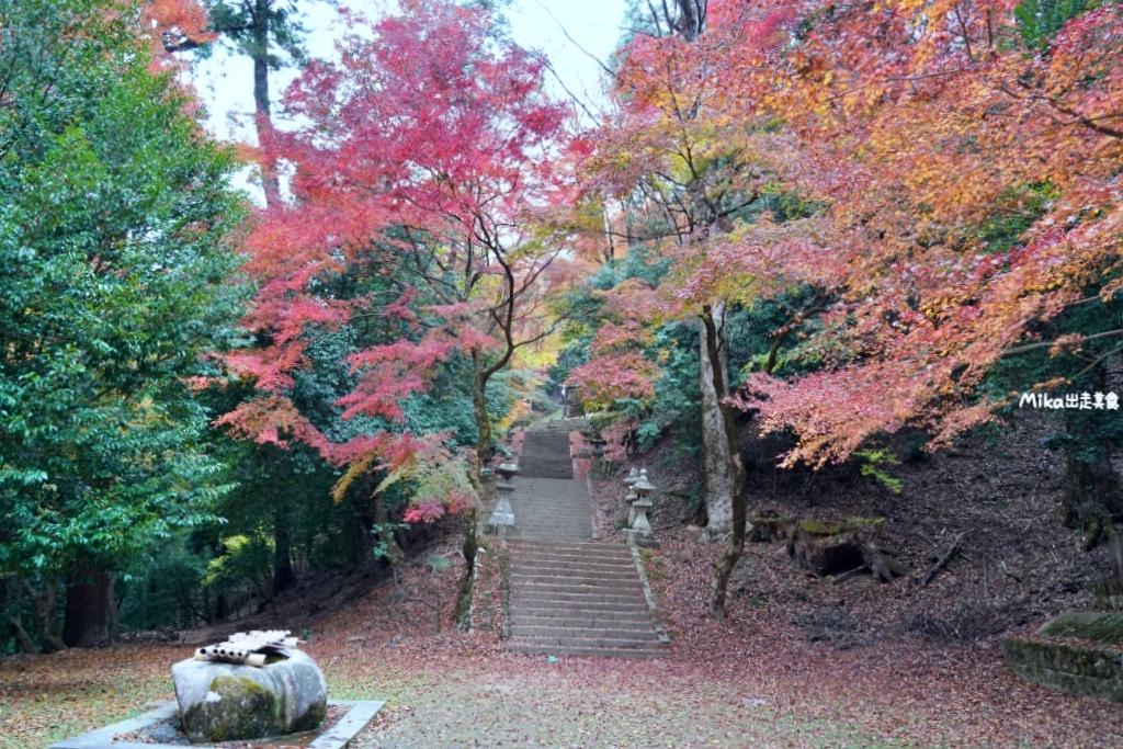 【日本】 鳥取 智頭町 諏訪神社｜鳥取 隱藏版紅葉名勝之一 山中森林內的絕美秘境神社。