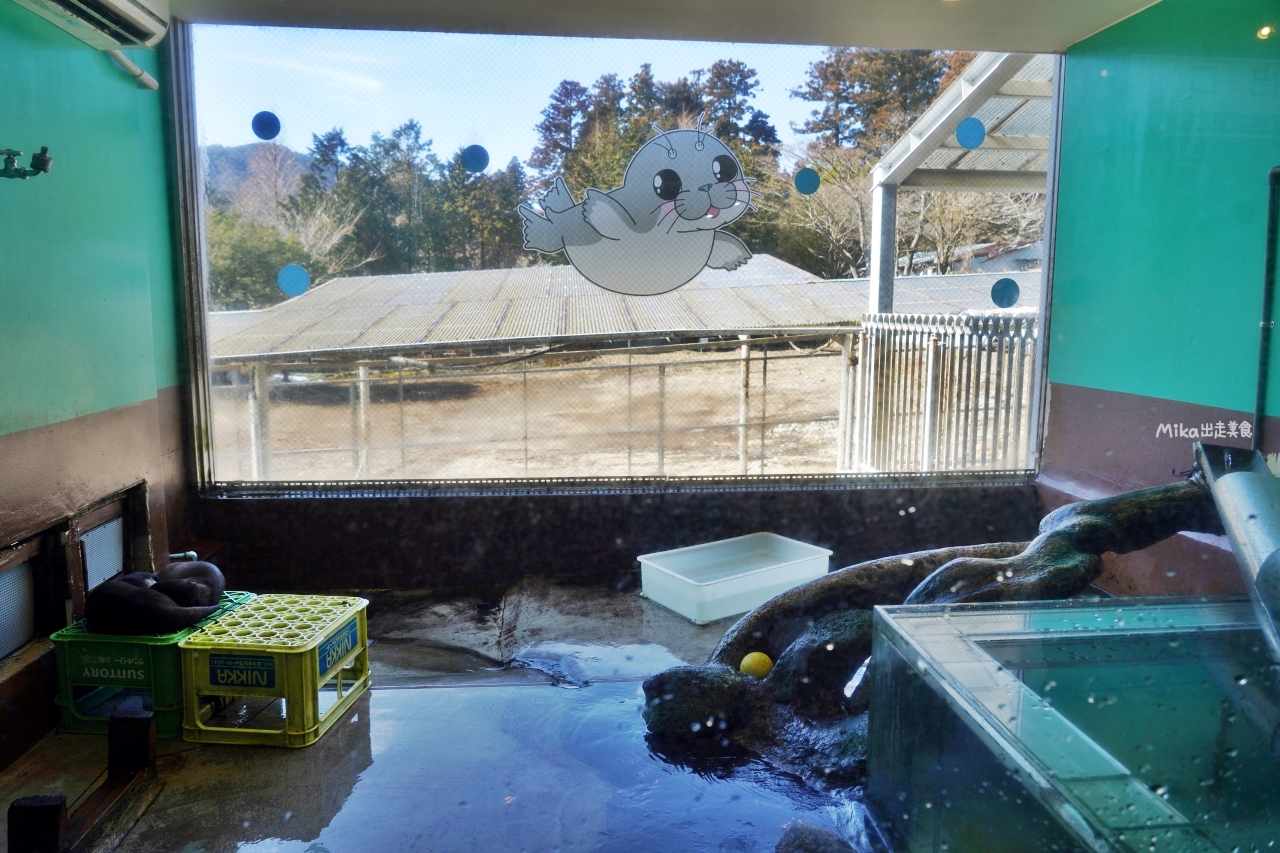 【日本】 神奈川 箱根園水族館 Hakone-en Aquarium｜只要門票300元有找的日本第一高水族館，充滿自然光線 會發光的夢幻高 7 公尺的露天大水槽，還有超美水母以及會泡湯超萌海豹。