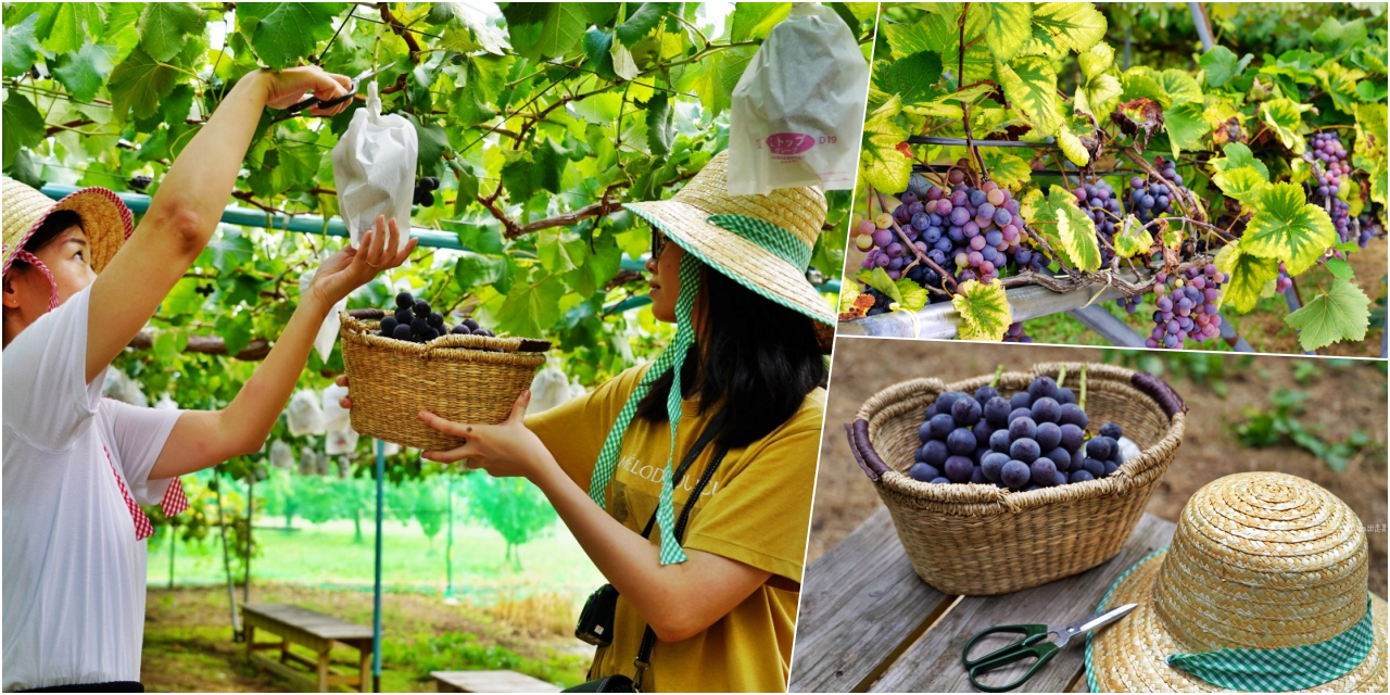 【日本】 東北 福島市 ADUMA（あづま）果樹園｜季節限定 福島在地特產水蜜桃、葡萄、櫻桃等採果吃到飽，最低只要550日圓起。