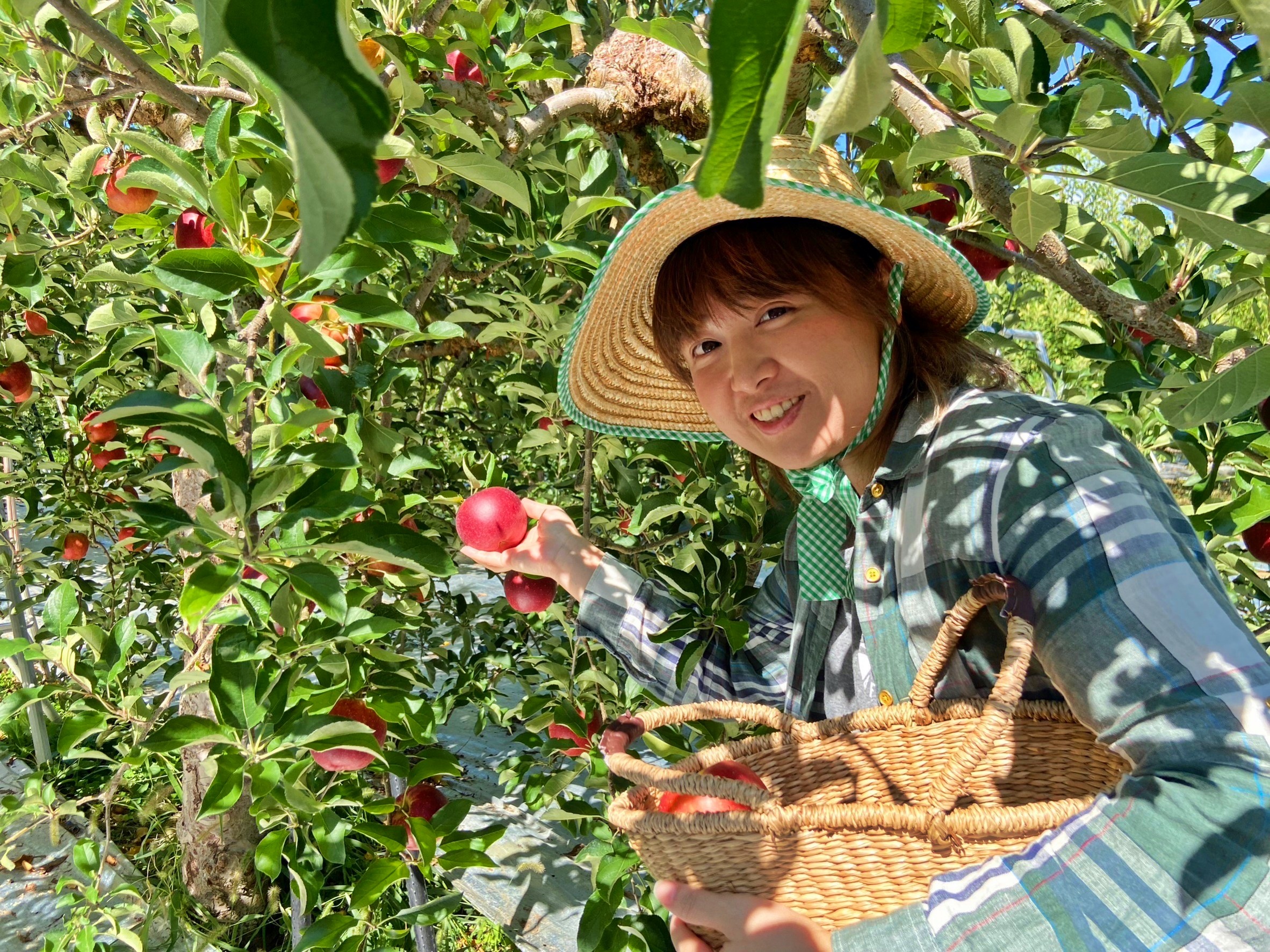 【日本】 福島市 Marusei Orchard まるせい 果樹園｜提供水蜜桃、櫻桃、梨子、蘋果等當季水果，最低日幣500元就可以採果吃到飽。