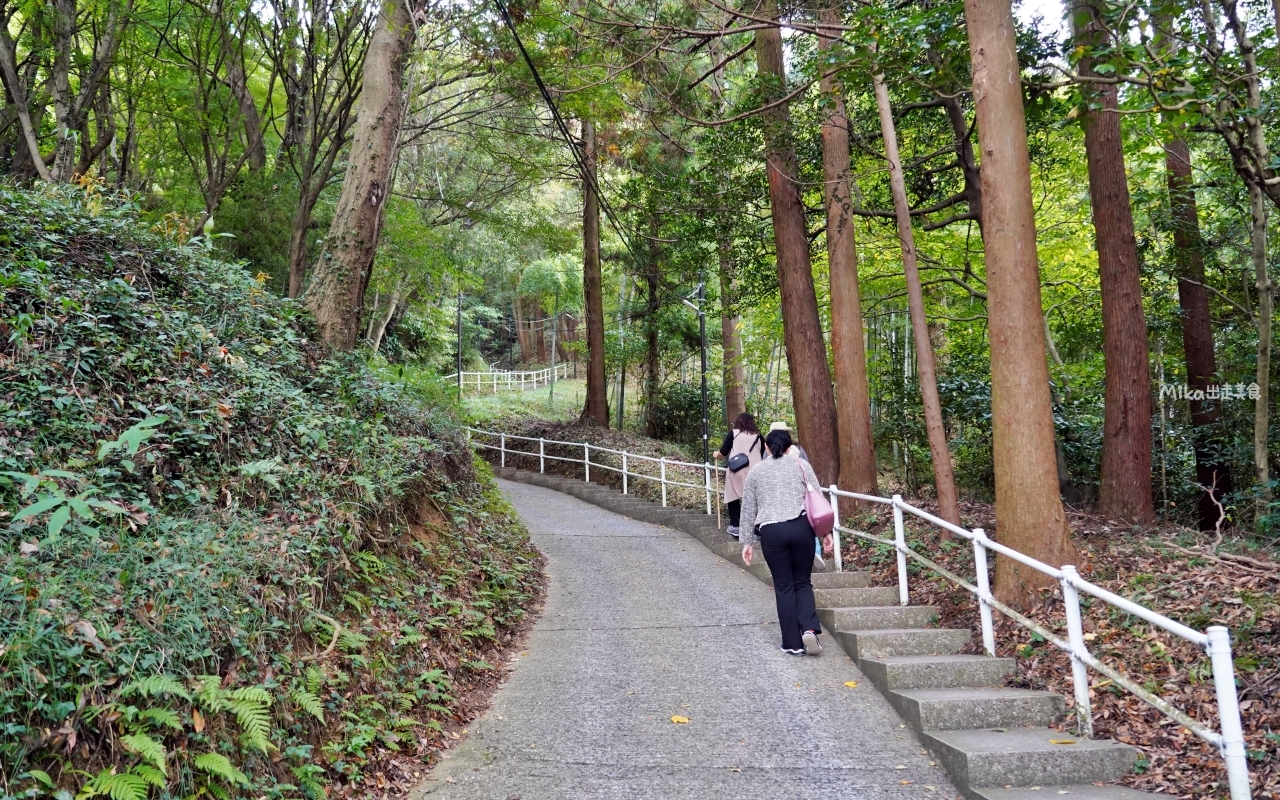 【日本】 北九州 千佛鐘乳石洞｜日本五大鐘乳石洞之一！國指定天然紀念物。