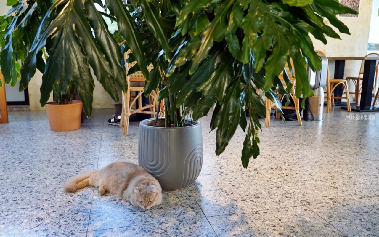 【宜蘭】 萬記商行 The One’s Shop 礁溪咖啡廳｜可愛爆擊！被綠油油的水田包圍的貓貓咖啡屋。早午餐、甜食都好萌，還有自家烘焙的手沖咖啡也超夠水準，布丁必點。