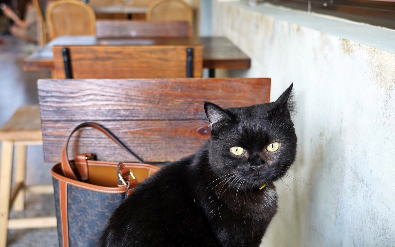 【宜蘭】 萬記商行 The One’s Shop 礁溪咖啡廳｜可愛爆擊！被綠油油的水田包圍的貓貓咖啡屋。早午餐、甜食都好萌，還有自家烘焙的手沖咖啡也超夠水準，布丁必點。