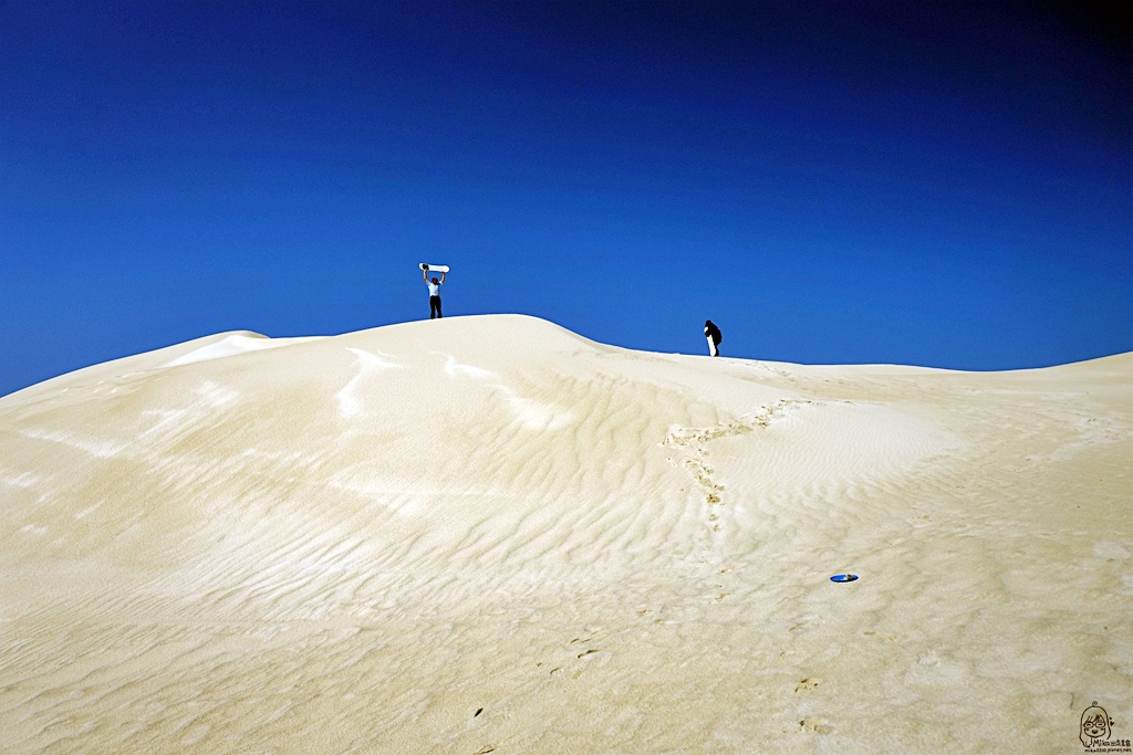『澳洲。西澳』 Lancelin 藍斯林 西澳獨有的白色沙丘  搭乘四輪傳動大巴士飆沙好刺激 沙漠90度滑沙初體驗｜雄獅 玩轉西澳 七日 粉紅湖 沙漠小探險之旅