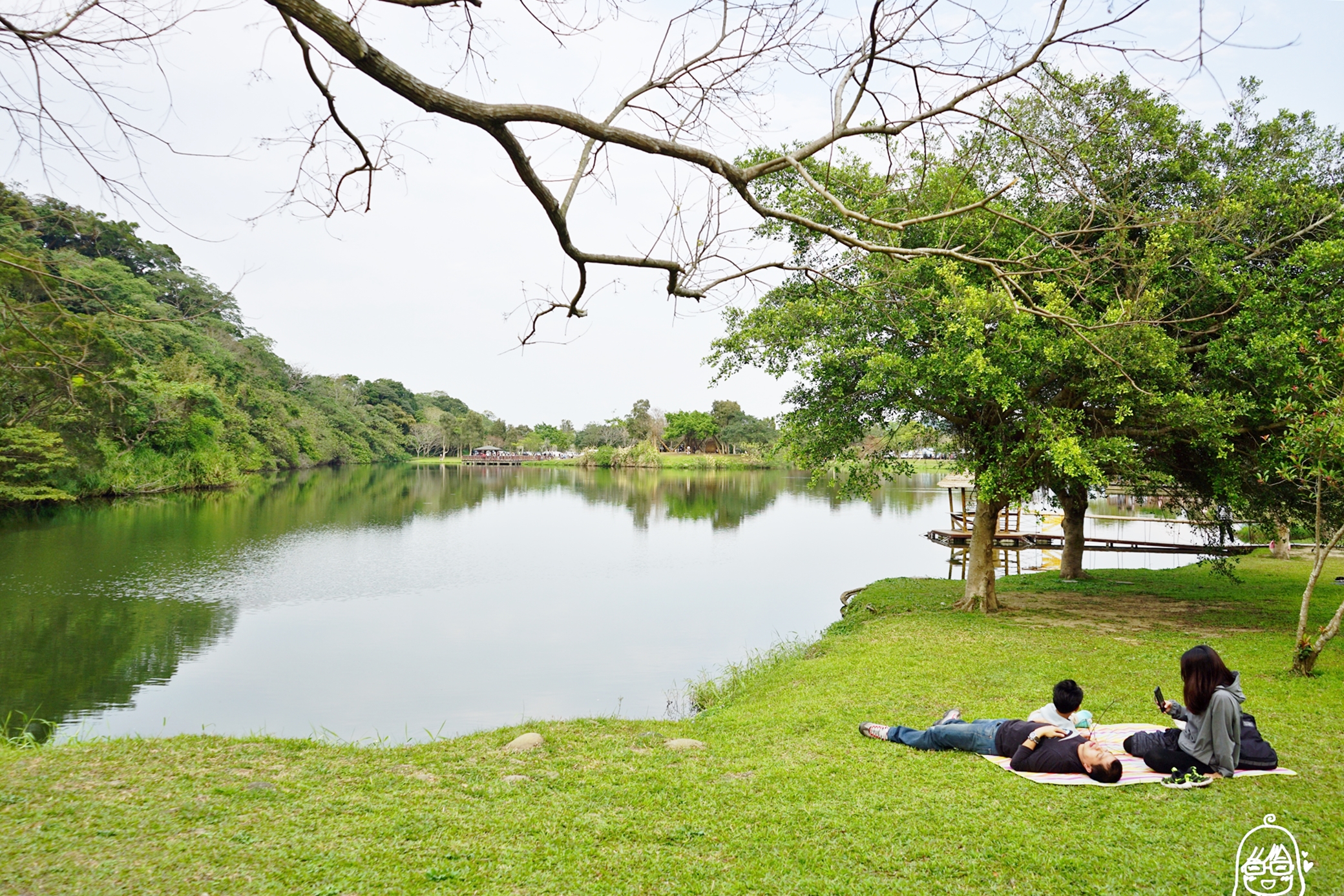 【桃園】龍潭 三坑自然生態公園｜免費親子景點，這裡超美 採用生態工法建造的生態湖，可戲水、草坪野餐、放風箏。