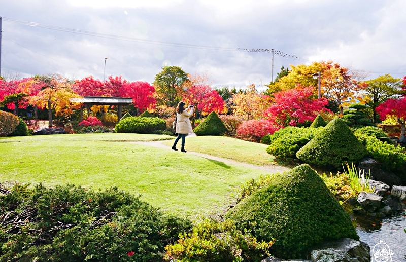 【日本】 北海道 札幌 平岡樹藝中心｜根本小型植物園，長達150公尺的紅葉隧道，漫步其間彷彿置身在畫中，醉人心脾。