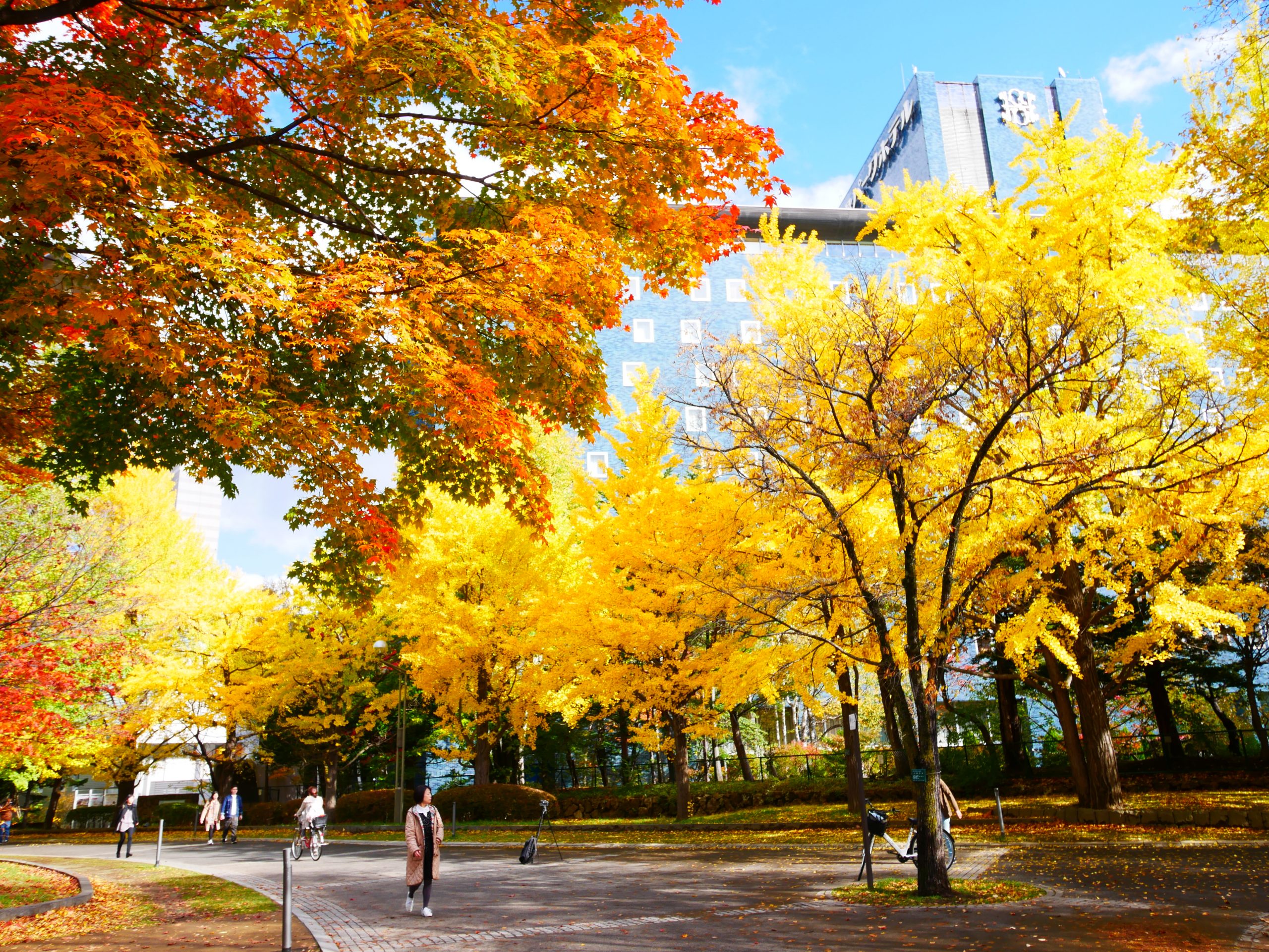 延伸閱讀：【日本】   北海道 札幌市區中的紅葉名所 中島公園 |  秋意濃 ，滿園的紅、黃、橘色的楓樹、銀杏等各種變葉木，妝點出如織錦般的美麗景色，讓人驚艷。