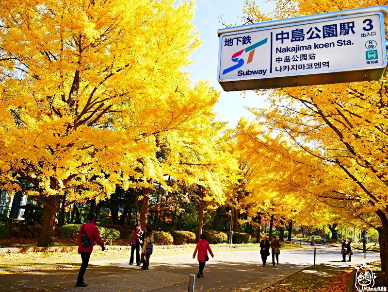 【日本】   北海道 札幌市區中的紅葉名所 中島公園 |  秋意濃 ，滿園的紅、黃、橘色的楓樹、銀杏等各種變葉木，妝點出如織錦般的美麗景色，讓人驚艷。