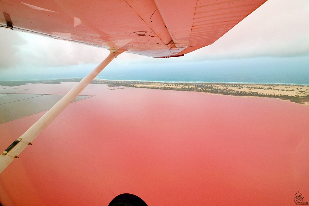 『澳洲。西澳』  Hutt Lagoon 赫特潟湖 / 北粉湖｜鳥瞰世界上最夢幻的粉紅湖，更是西澳自然絕景之一 ，浪漫到讓人想戀愛的草莓牛奶湖。｜雄獅 玩轉西澳七日 粉紅湖 沙漠小探險之旅