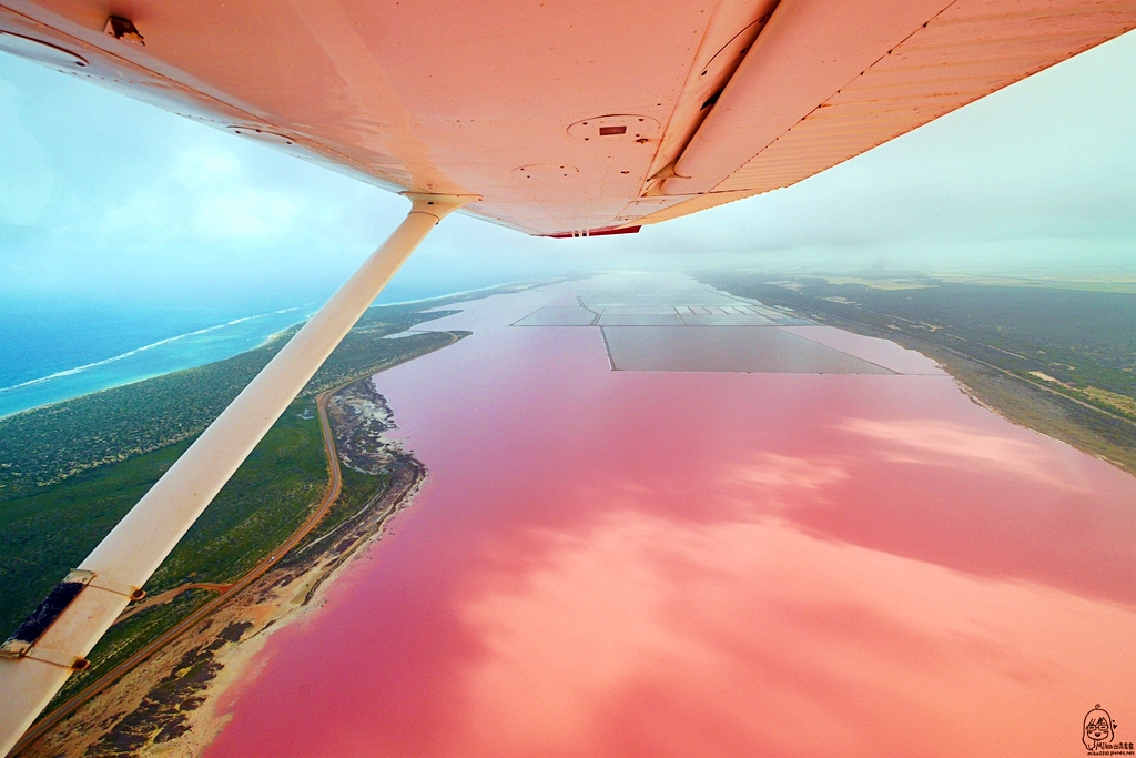 延伸閱讀：『澳洲。西澳』  Hutt Lagoon 赫特潟湖 / 北粉湖｜鳥瞰世界上最夢幻的粉紅湖，更是西澳自然絕景之一 ，浪漫到讓人想戀愛的草莓牛奶湖。｜雄獅 玩轉西澳七日 粉紅湖 沙漠小探險之旅