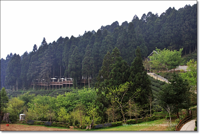『新竹遊記』深山中的濃霧仙境–山上人家森林農場