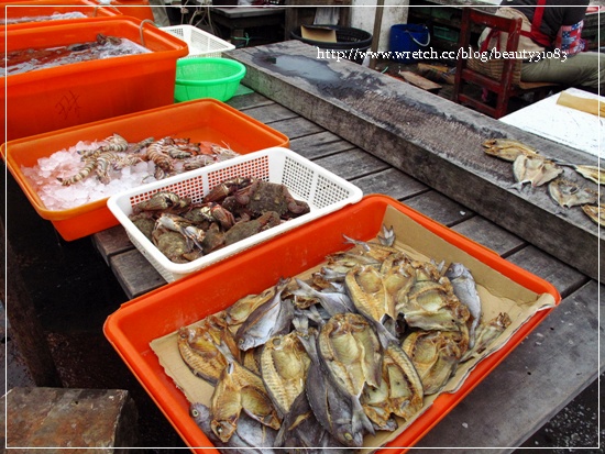 『澎湖食記』發現我們的藍海天堂—澎湖魚市場