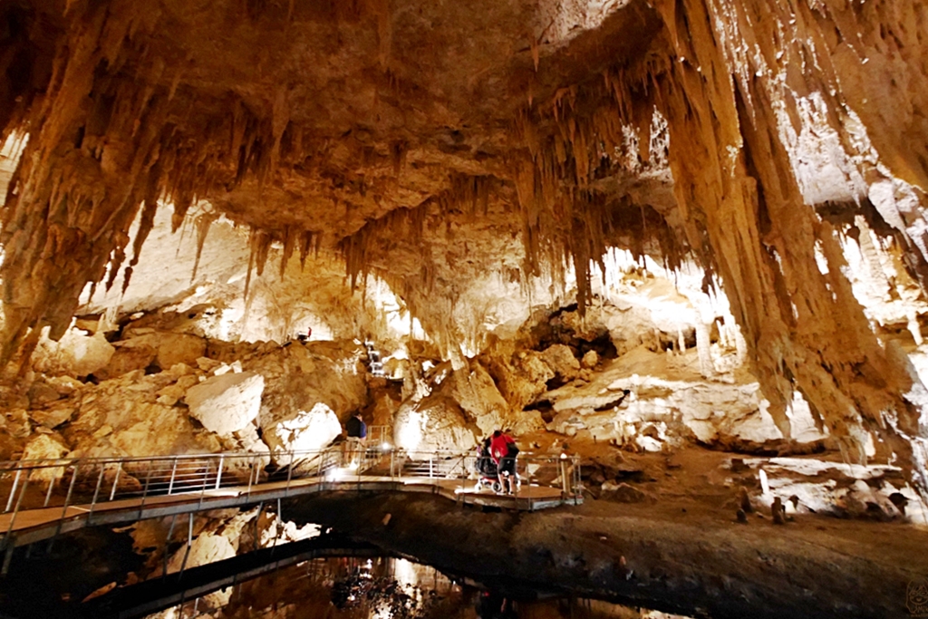 『澳洲。西澳』Mammoth Cave 猛獁洞穴 幾億年形成的鐘乳石、石柱、石筍等，數量驚人｜雄獅 玩轉西澳 七日 粉紅湖 沙漠小探險之旅